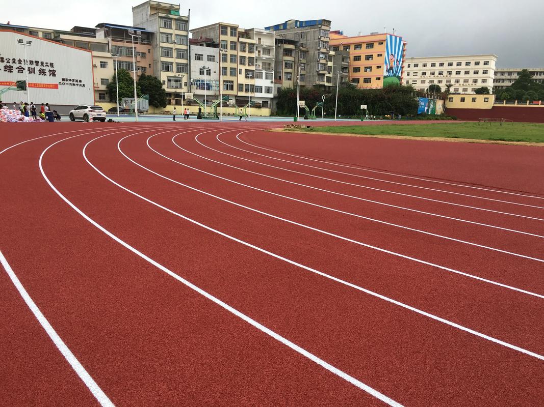 淄博市EPDM颗粒塑胶跑道材料 - 厂家